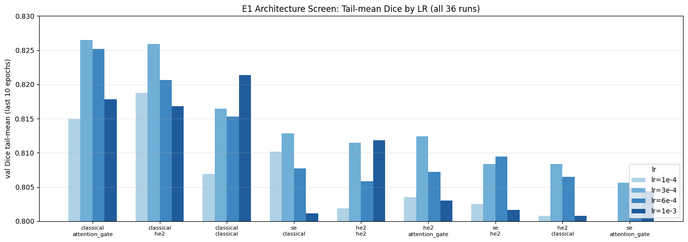 _images/E1-isic2017-unet2d-modelsw-summary-all-lr_12_1.png